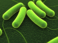 Advances in Biodetection & Biosensors